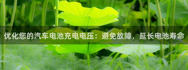 优发国际不出款怎么办