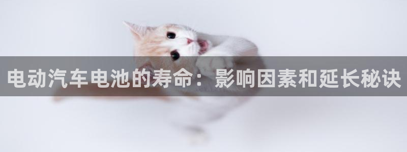 优发国际合并到哪里了最新消息