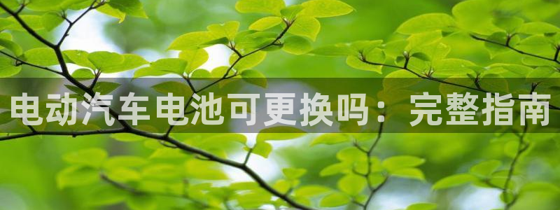 优发国际官网手机版入口