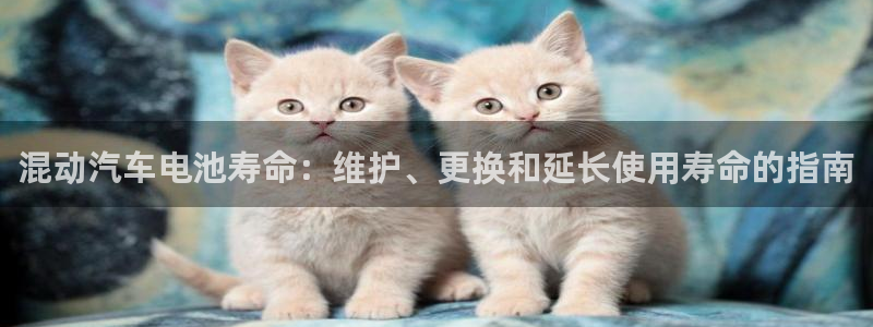 优发国际手机版客户端下载安装
