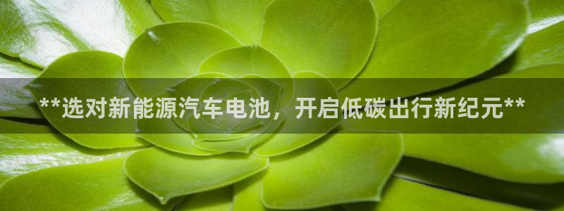 优发国际平台u8是什么软件