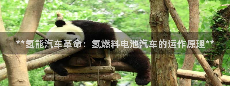 优发娱乐官网地址