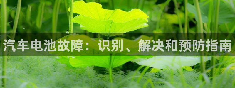 优发国际网站