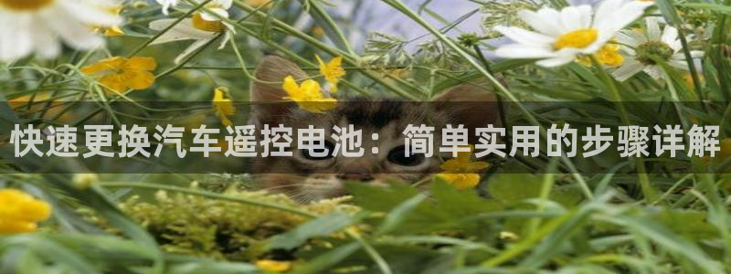 优发国际游戏官网
