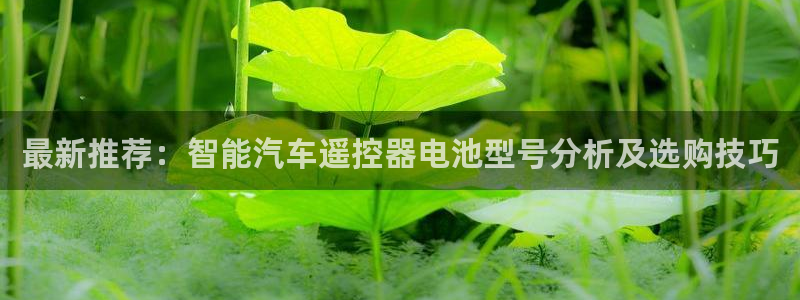 优发国际youfa966