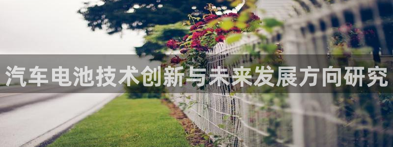优发国际是大平台吗是真的吗：汽车电池技术
