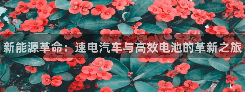 优发国际官网手机版下载安卓：新能源革命：