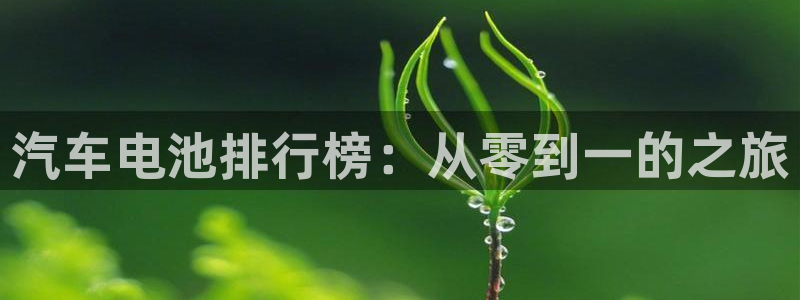 优发国际手机客户端官网：汽车电池排行榜：