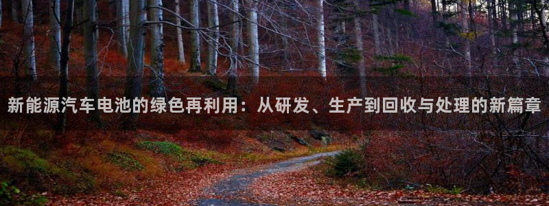 优发国际网官网17q8