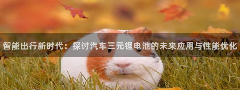 优发国际游戏17岁能玩吗