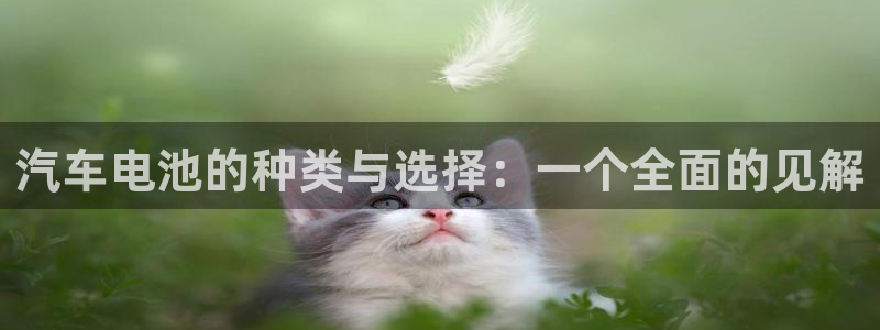 优发国际的官网是什么软件