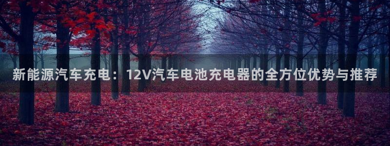 优发国际网官网17o8