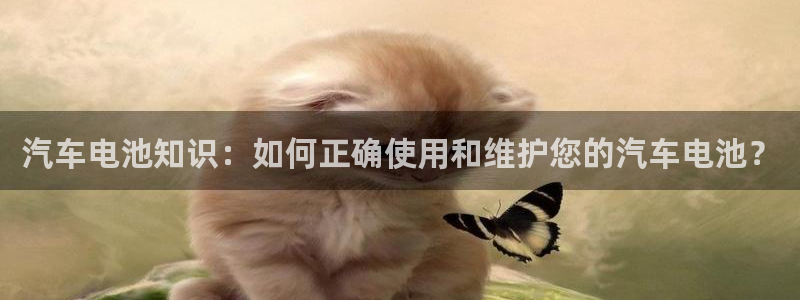 优发国际手机版下载