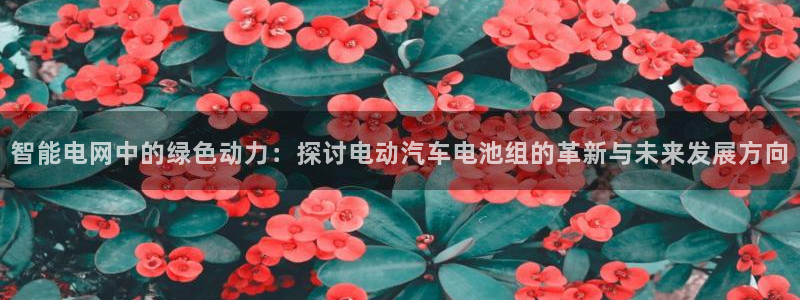 优发国际下载app