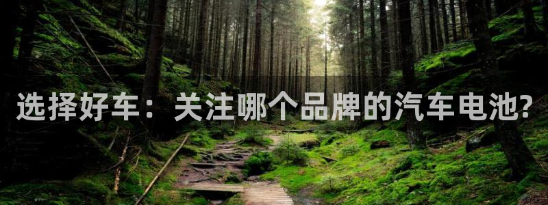 优发国际网官网