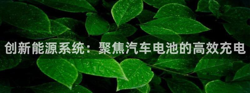 优发国际app官网下载安装手机版
