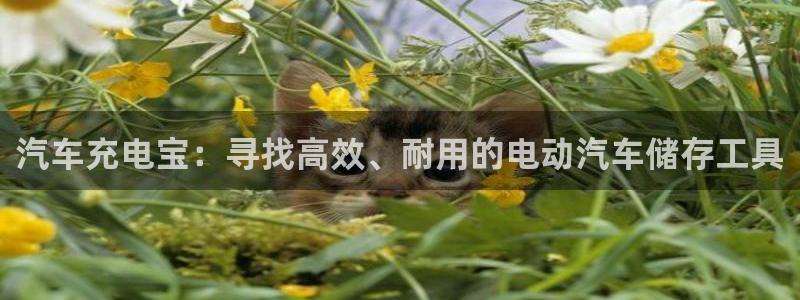 优发国际首页app