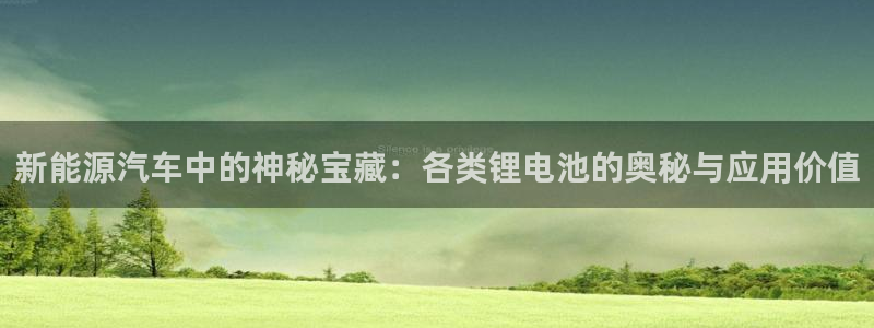 优发国际是大平台吗是真的吗