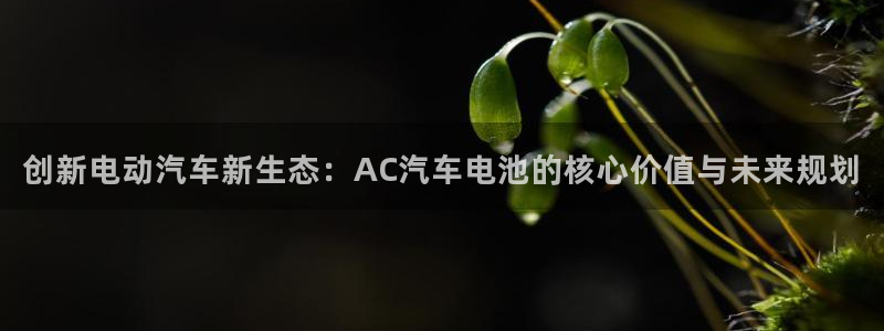 优发国际平台app下载安装