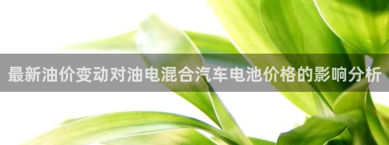 优发国际集团股份有限公司是国企吗：最新油价变动对油电混合汽车电池价格的影响分析