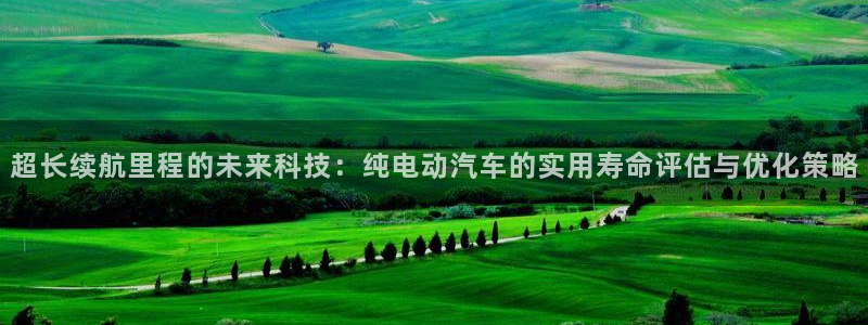 优发国际手机安装登录：超长续航里程的未来科技：纯电动汽车的实用寿命评估与优化策略