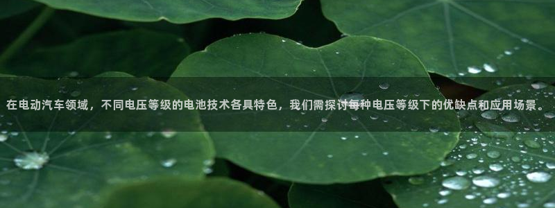 优发国际app登录密码