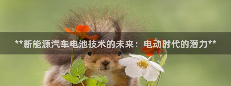 优发国际手机app下载安装苹果：**新能