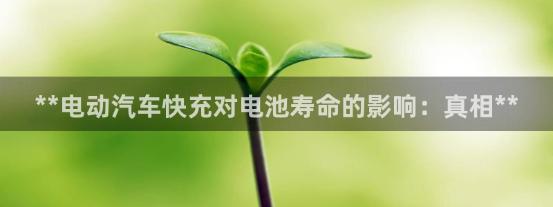 优发国际平台u8是什么软件