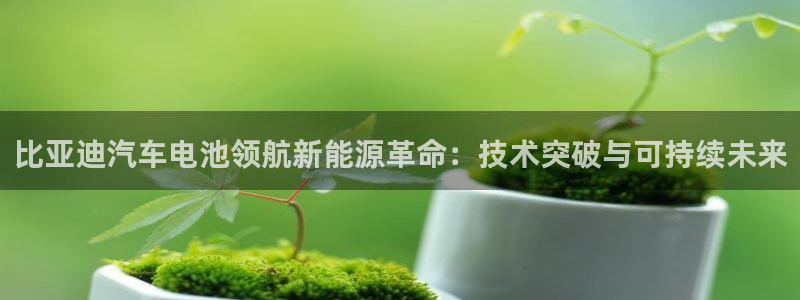 优发国际平台g80