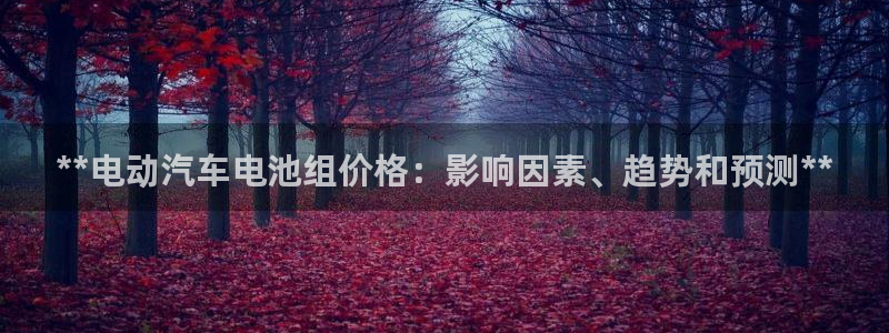 优发国际的官网是什么软件
