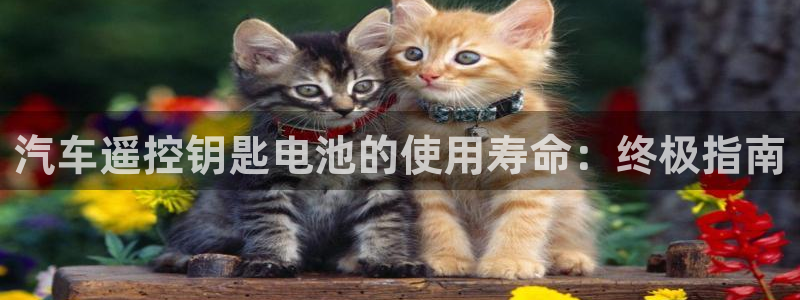 优发国际是大平台吗是真的吗