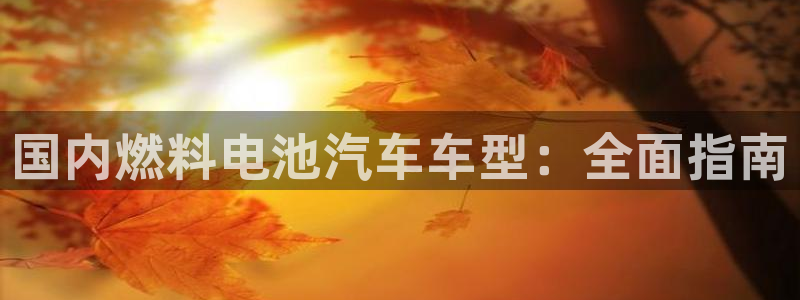 优发国际集团股份有限公司招聘