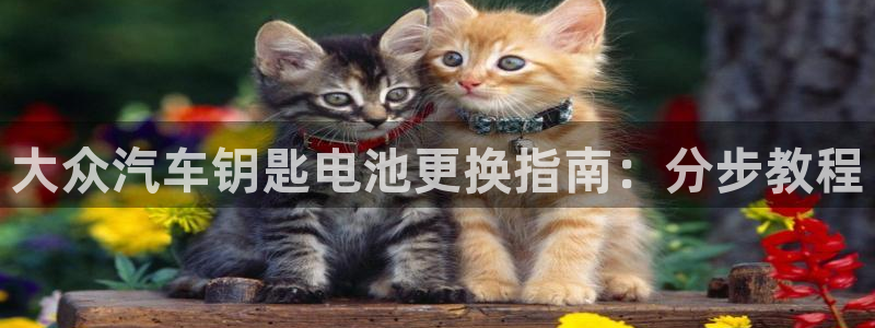 优发游戏官网