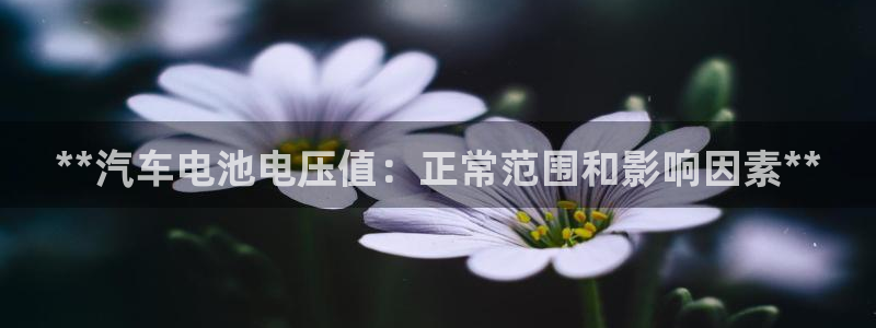 优发国际app官网下载安装手机版