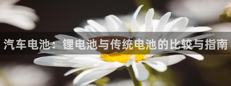 优发国际平台app下载安装