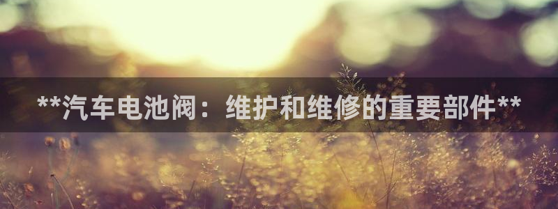 优发娱乐官网地址