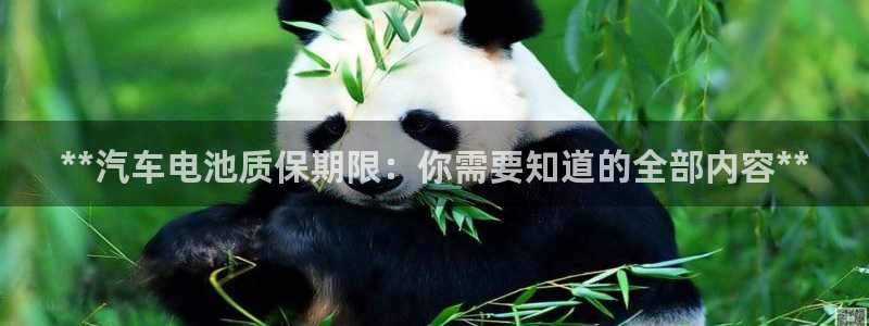 优发国际客服联系方式是什么