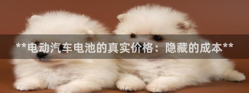 优发国际官网首页入口