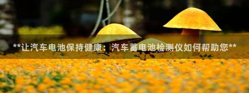 优发国际手机安装登录