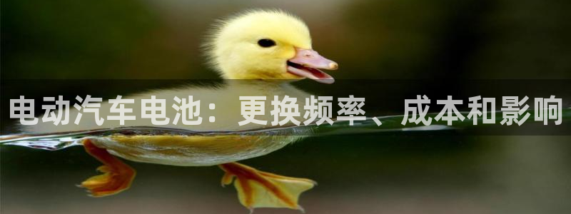 优发国际