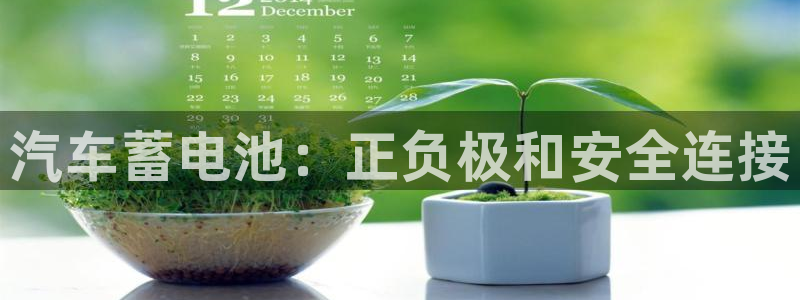 优发国际官方网手机版下载