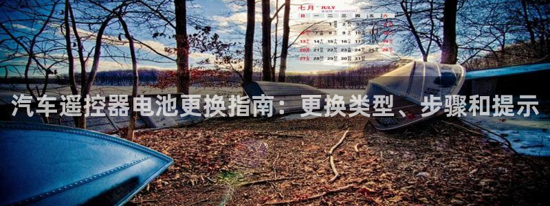 优发国际手机客户端下载：汽车遥控器电池更换指南：更换类型、步骤和提示