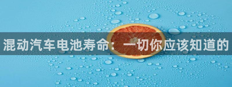 优发国际游戏n：混动汽车电池寿命：一切你应该知道的