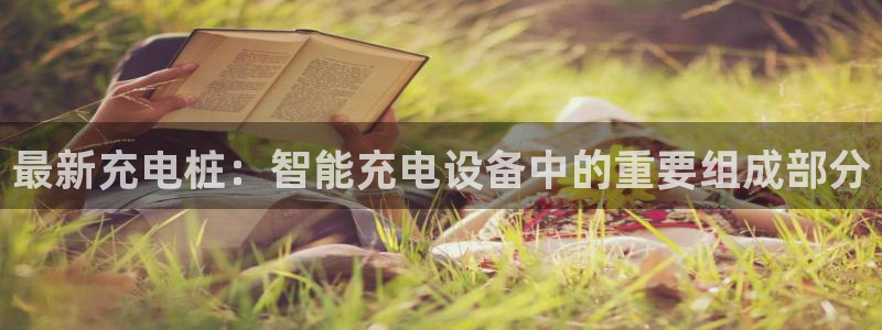 优发国际登录首页官网：最新充电桩：智能充电设备中的重要组成部分