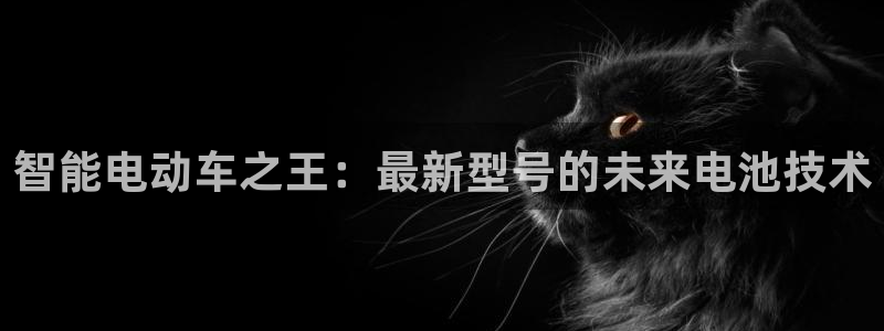 优发国际下载安装：智能电动车之王：最新型号的未来电池技术