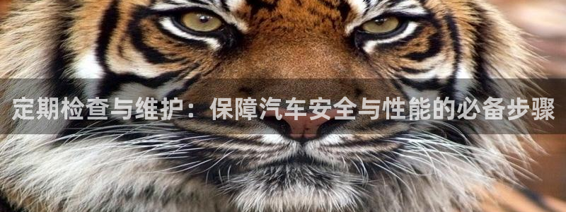优发国际游戏官网：定期检查与维护：保障汽车安全与性能的必备步骤