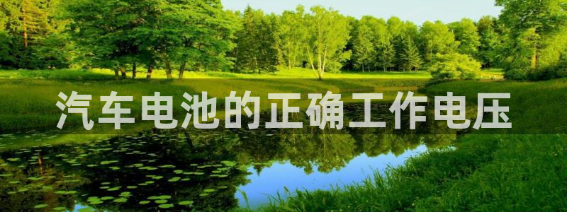 优发国际网站：汽车电池的正确工作电压