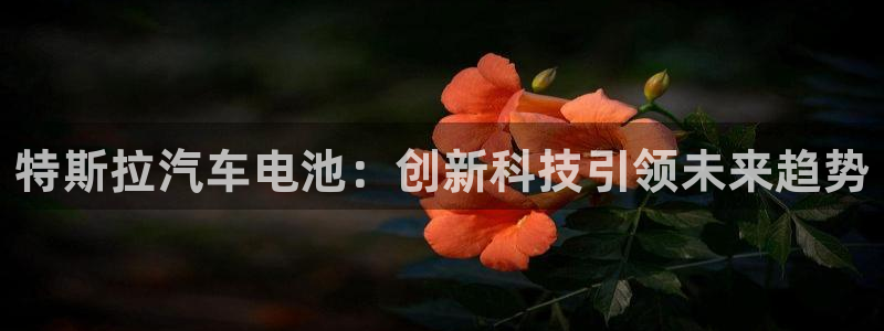 优发国际登录a：特斯拉汽车电池：创新科技引领未来趋势