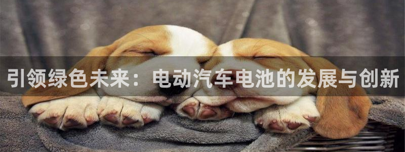 优发国际平台：引领绿色未来：电动汽车电池的发展与创新