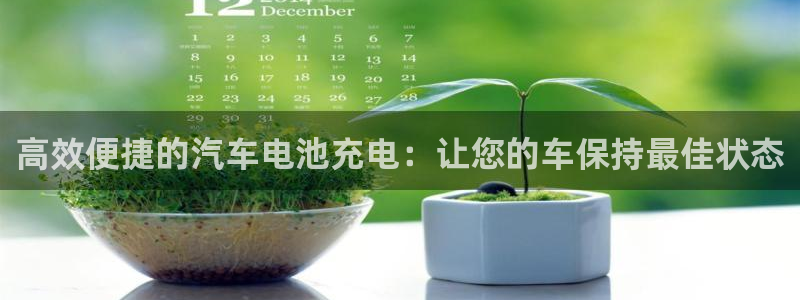 优发国际手机客户端官网：高效便捷的汽车电池充电：让您的车保持最佳状态